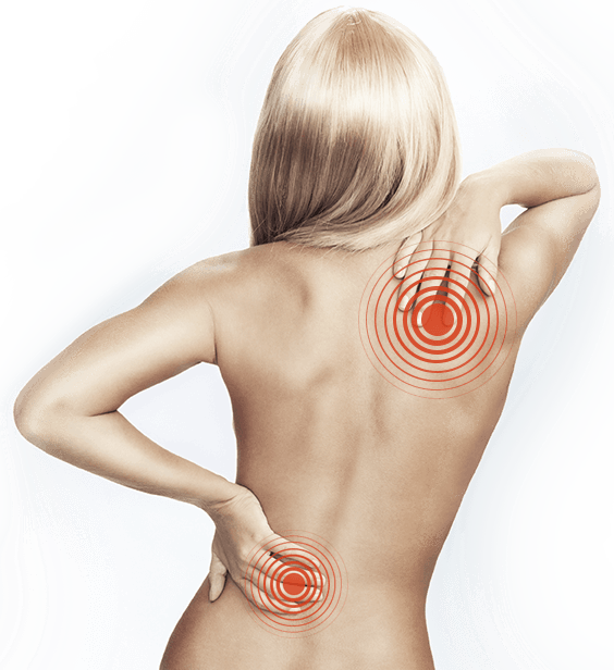 Cuerpo articulaciones