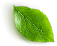 Hoja 2