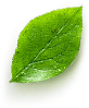Hoja 3